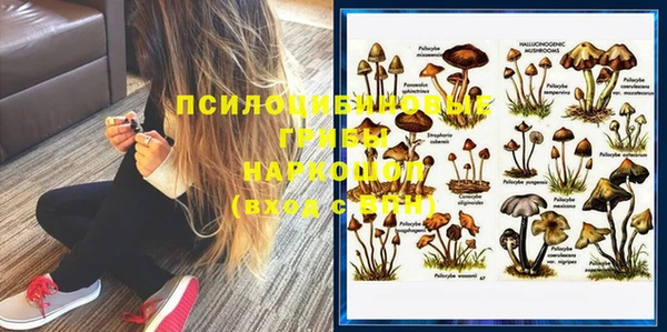 эйфоретик Алзамай