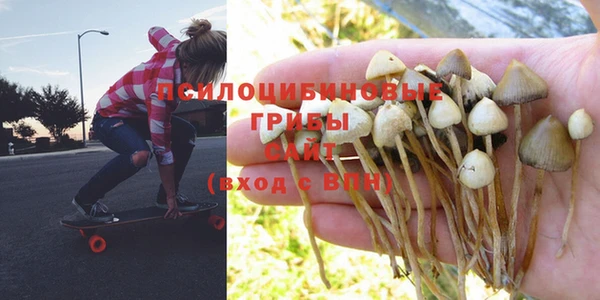 дживик Абаза