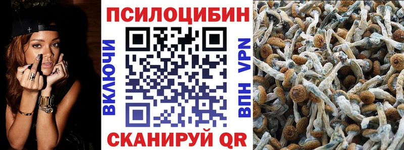 Псилоцибиновые грибы мухоморы Ирбит
