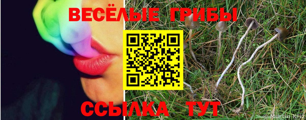 Ирбит  Галлюциногенные грибы MAGIC MUSHROOMS  Вход с VPN  Галлюциногенные грибы мухоморы 
